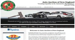 Desktop Screenshot of aane.com